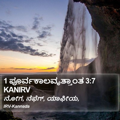 1 ಪೂರ್ವಕಾಲವೃತ್ತಾಂತ 3:7 KANIRV Bible Verse Image
