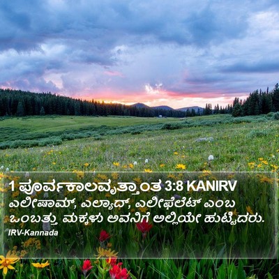 1 ಪೂರ್ವಕಾಲವೃತ್ತಾಂತ 3:8 KANIRV Bible Verse Image