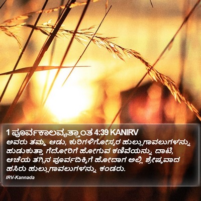 1 ಪೂರ್ವಕಾಲವೃತ್ತಾಂತ 4:39 KANIRV Bible Verse Image