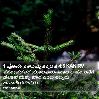 1 ಪೂರ್ವಕಾಲವೃತ್ತಾಂತ 4:5 KANIRV Bible Verse Image