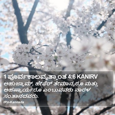 1 ಪೂರ್ವಕಾಲವೃತ್ತಾಂತ 4:6 KANIRV Bible Verse Image