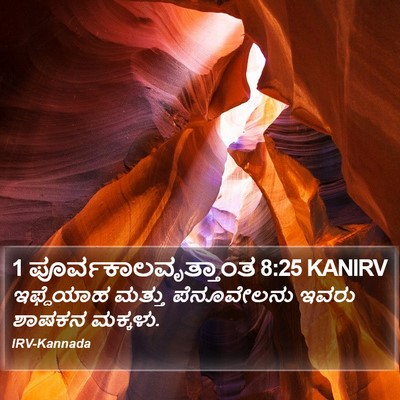 1 ಪೂರ್ವಕಾಲವೃತ್ತಾಂತ 8:25 KANIRV Bible Verse Image