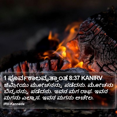 1 ಪೂರ್ವಕಾಲವೃತ್ತಾಂತ 8:37 KANIRV Bible Verse Image