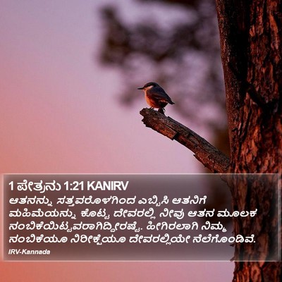 1 ಪೇತ್ರನು 1:21 KANIRV Bible Verse Image