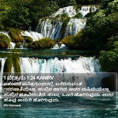 1 ಪೇತ್ರನು 1:24 KANIRV Bible Verse Image