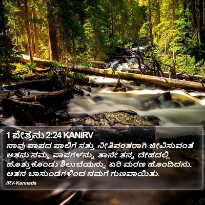 1 ಪೇತ್ರನು 2:24 KANIRV Bible Verse Image