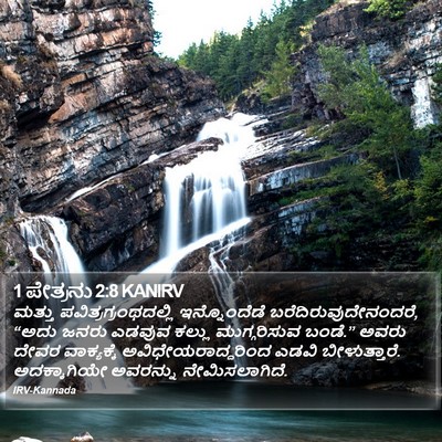 1 ಪೇತ್ರನು 2:8 KANIRV Bible Verse Image