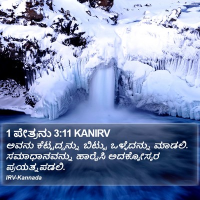 1 ಪೇತ್ರನು 3:11 KANIRV Bible Verse Image