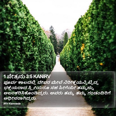 1 ಪೇತ್ರನು 3:5 KANIRV Bible Verse Image
