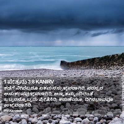 1 ಪೇತ್ರನು 3:8 KANIRV Bible Verse Image
