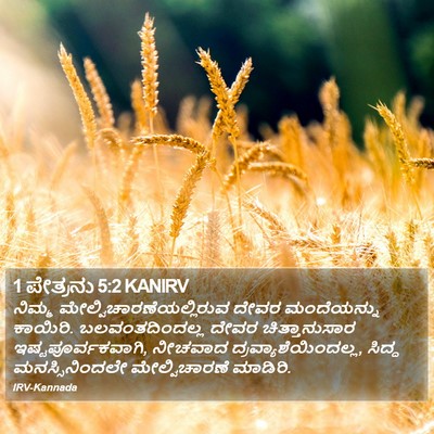 1 ಪೇತ್ರನು 5:2 KANIRV Bible Verse Image
