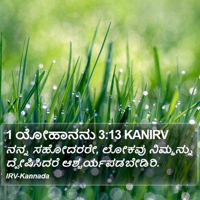 1 ಯೋಹಾನನು 3:13 KANIRV Bible Verse Image