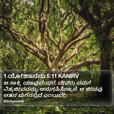 1 ಯೋಹಾನನು 5:11 KANIRV Bible Verse Image