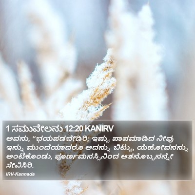 1 ಸಮುವೇಲನು 12:20 KANIRV Bible Verse Image