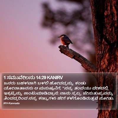 1 ಸಮುವೇಲನು 14:29 KANIRV Bible Verse Image