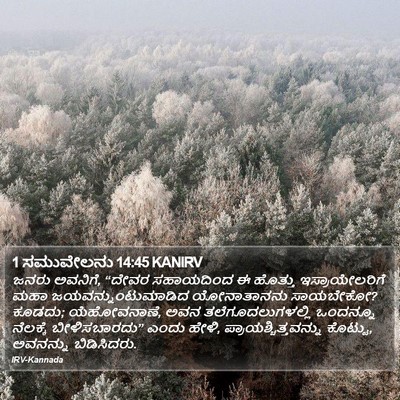 1 ಸಮುವೇಲನು 14:45 KANIRV Bible Verse Image