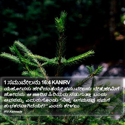 1 ಸಮುವೇಲನು 16:4 KANIRV Bible Verse Image