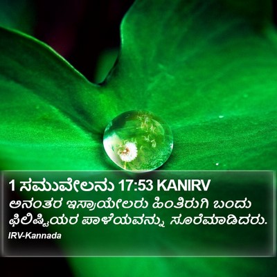 1 ಸಮುವೇಲನು 17:53 KANIRV Bible Verse Image