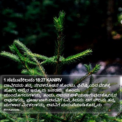 1 ಸಮುವೇಲನು 18:27 KANIRV Bible Verse Image