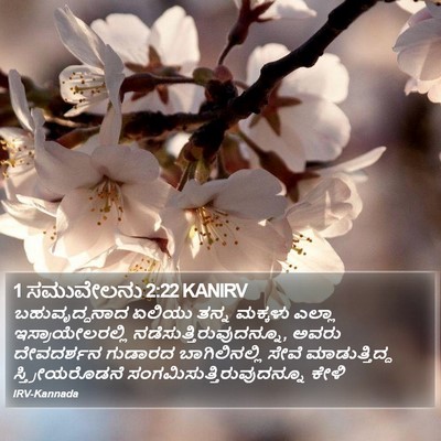 1 ಸಮುವೇಲನು 2:22 KANIRV Bible Verse Image