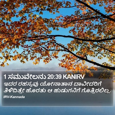 1 ಸಮುವೇಲನು 20:39 KANIRV Bible Verse Image