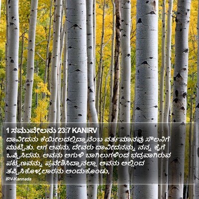 1 ಸಮುವೇಲನು 23:7 KANIRV Bible Verse Image