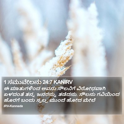 1 ಸಮುವೇಲನು 24:7 KANIRV Bible Verse Image