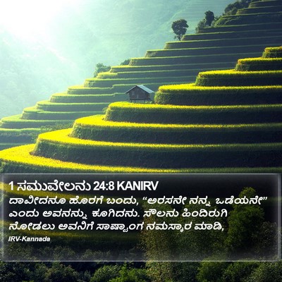1 ಸಮುವೇಲನು 24:8 KANIRV Bible Verse Image