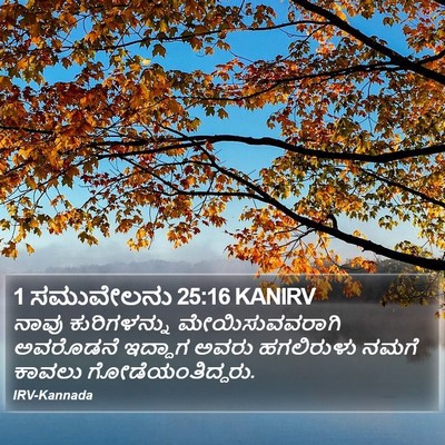 1 ಸಮುವೇಲನು 25:16 KANIRV Bible Verse Image