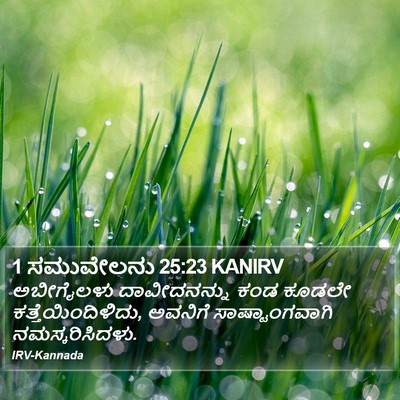 1 ಸಮುವೇಲನು 25:23 KANIRV Bible Verse Image
