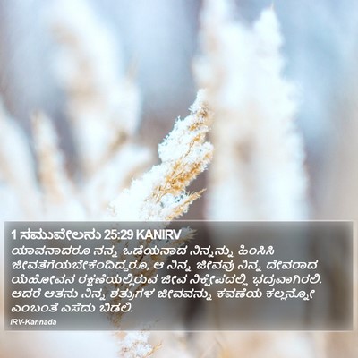1 ಸಮುವೇಲನು 25:29 KANIRV Bible Verse Image