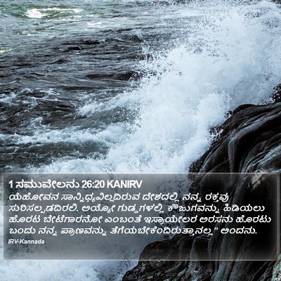 1 ಸಮುವೇಲನು 26:20 KANIRV Bible Verse Image