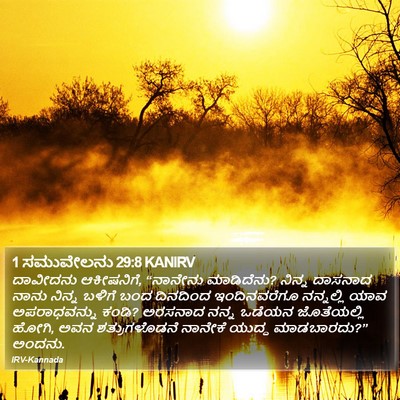1 ಸಮುವೇಲನು 29:8 KANIRV Bible Verse Image