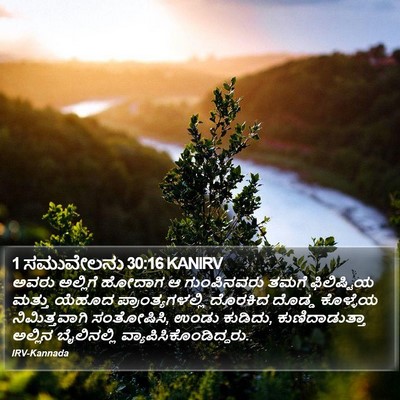 1 ಸಮುವೇಲನು 30:16 KANIRV Bible Verse Image