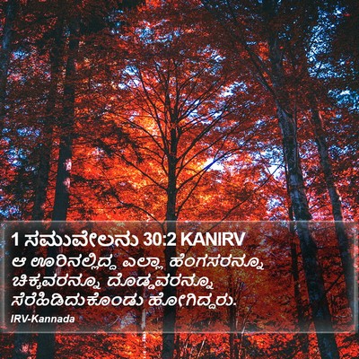 1 ಸಮುವೇಲನು 30:2 KANIRV Bible Verse Image
