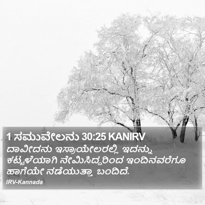 1 ಸಮುವೇಲನು 30:25 KANIRV Bible Verse Image