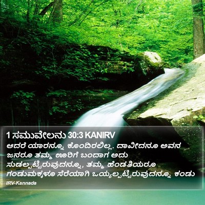 1 ಸಮುವೇಲನು 30:3 KANIRV Bible Verse Image