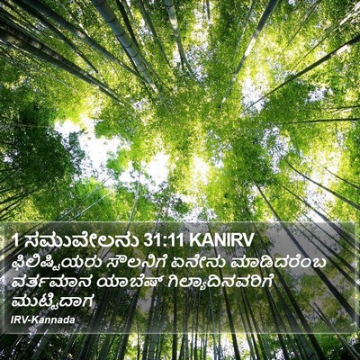 1 ಸಮುವೇಲನು 31:11 KANIRV Bible Verse Image