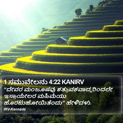 1 ಸಮುವೇಲನು 4:22 KANIRV Bible Verse Image