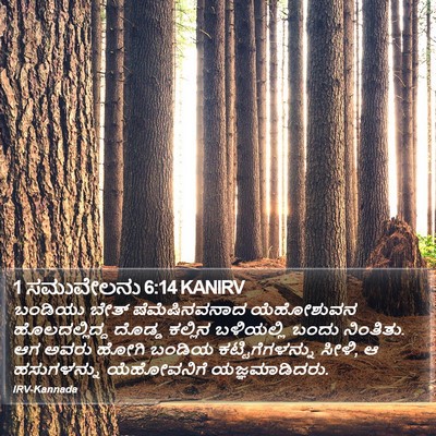 1 ಸಮುವೇಲನು 6:14 KANIRV Bible Verse Image