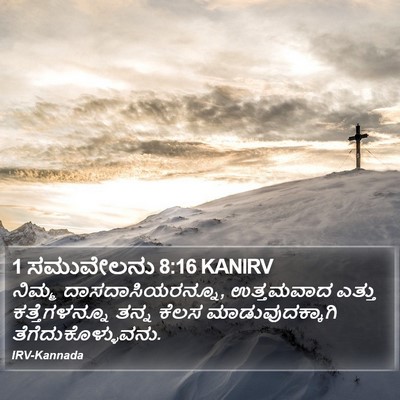 1 ಸಮುವೇಲನು 8:16 KANIRV Bible Verse Image
