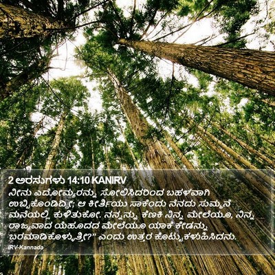 2 ಅರಸುಗಳು 14:10 KANIRV Bible Verse Image
