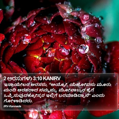 2 ಅರಸುಗಳು 3:10 KANIRV Bible Verse Image