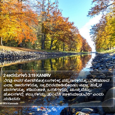 2 ಅರಸುಗಳು 3:19 KANIRV Bible Verse Image