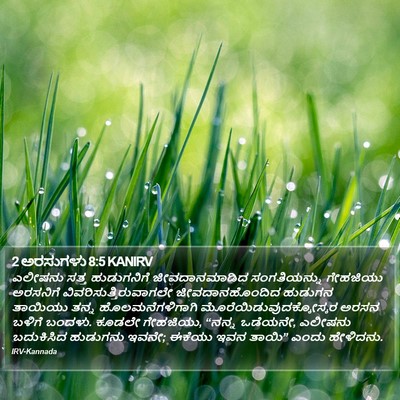 2 ಅರಸುಗಳು 8:5 KANIRV Bible Verse Image