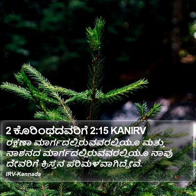 2 ಕೊರಿಂಥದವರಿಗೆ 2:15 KANIRV Bible Verse Image