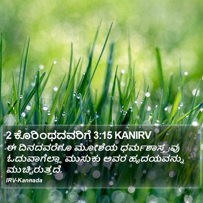2 ಕೊರಿಂಥದವರಿಗೆ 3:15 KANIRV Bible Verse Image