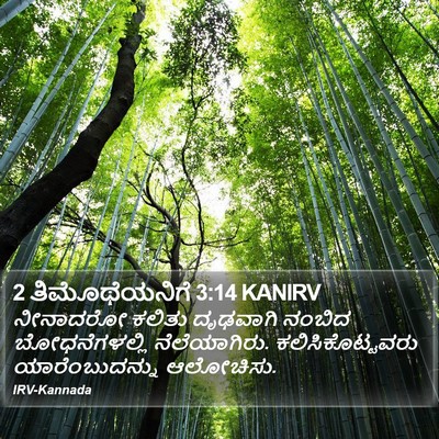 2 ತಿಮೊಥೆಯನಿಗೆ 3:14 KANIRV Bible Verse Image