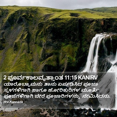 2 ಪೂರ್ವಕಾಲವೃತ್ತಾಂತ 11:15 KANIRV Bible Verse Image