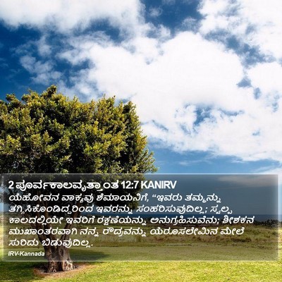 2 ಪೂರ್ವಕಾಲವೃತ್ತಾಂತ 12:7 KANIRV Bible Verse Image